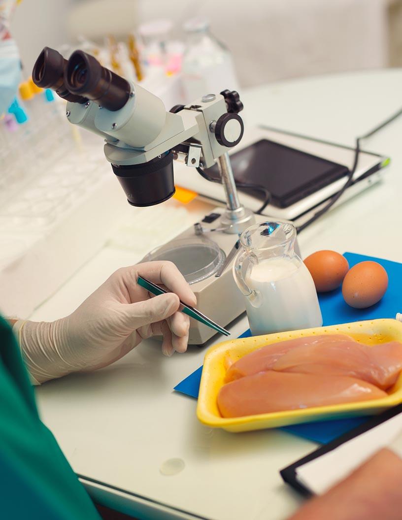 Global Food Safety Testing Market 2024-2028