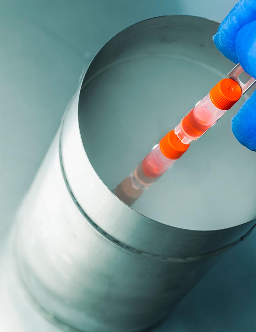 Global Cryogenic Vials Market 2024-2028