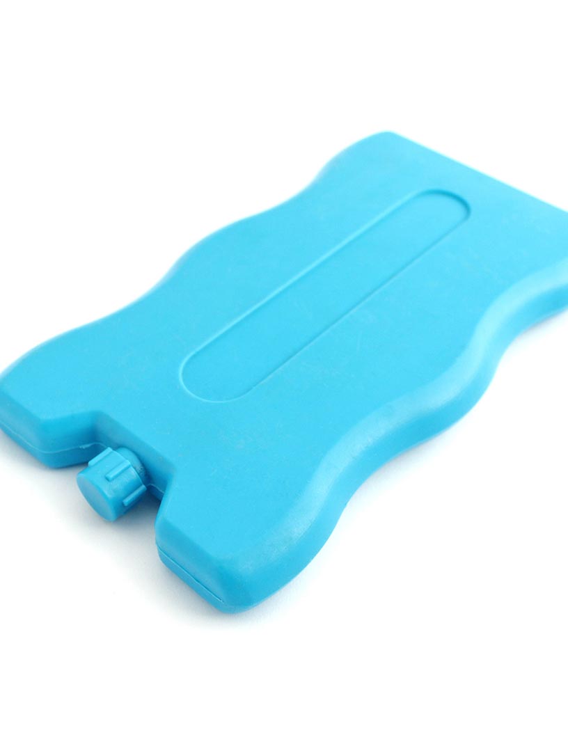 disposable icepacks market in North America 2024-2028