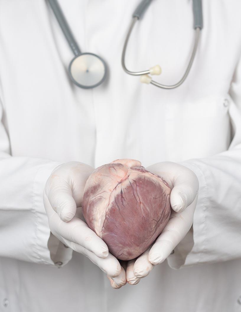Global Heart Transplantation Therapeutics Market 2025-2029