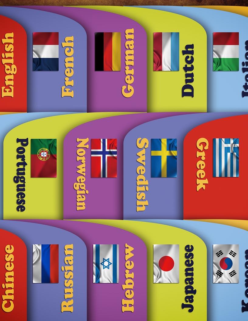Global Language Services Market 2025-2029