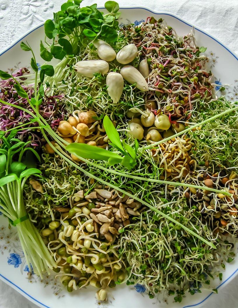 Global Food Enzymes Market 2025-2029