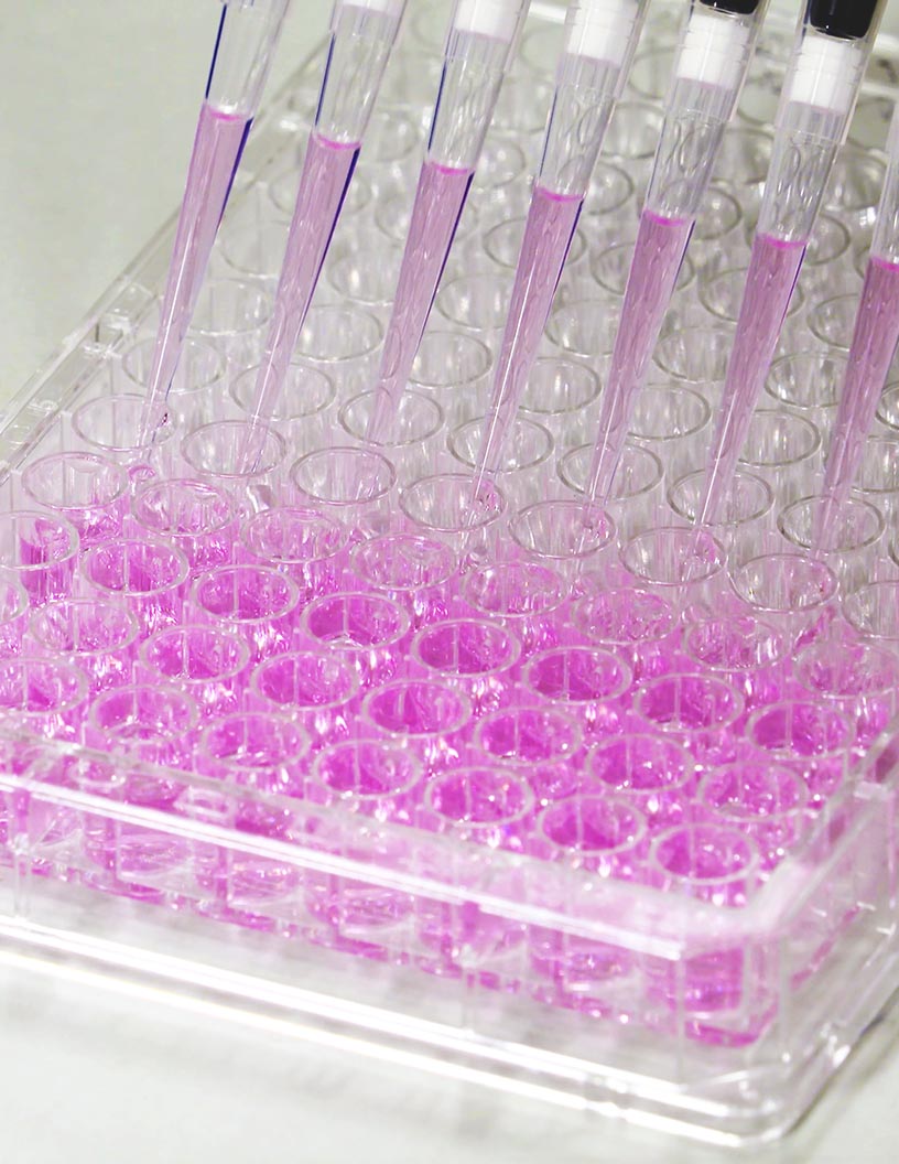 Global gene panel market 2024-2028