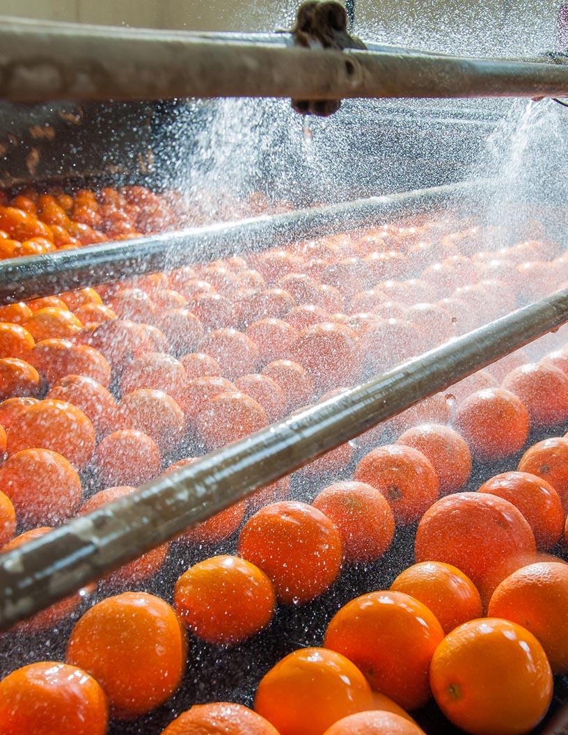 Global Food Industry Pulsed Electric Field (PEF) Systems Market 2025-2029