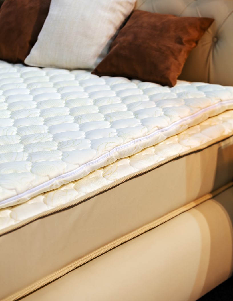 Latest News: Global Heated Bedding Market 2024-2028