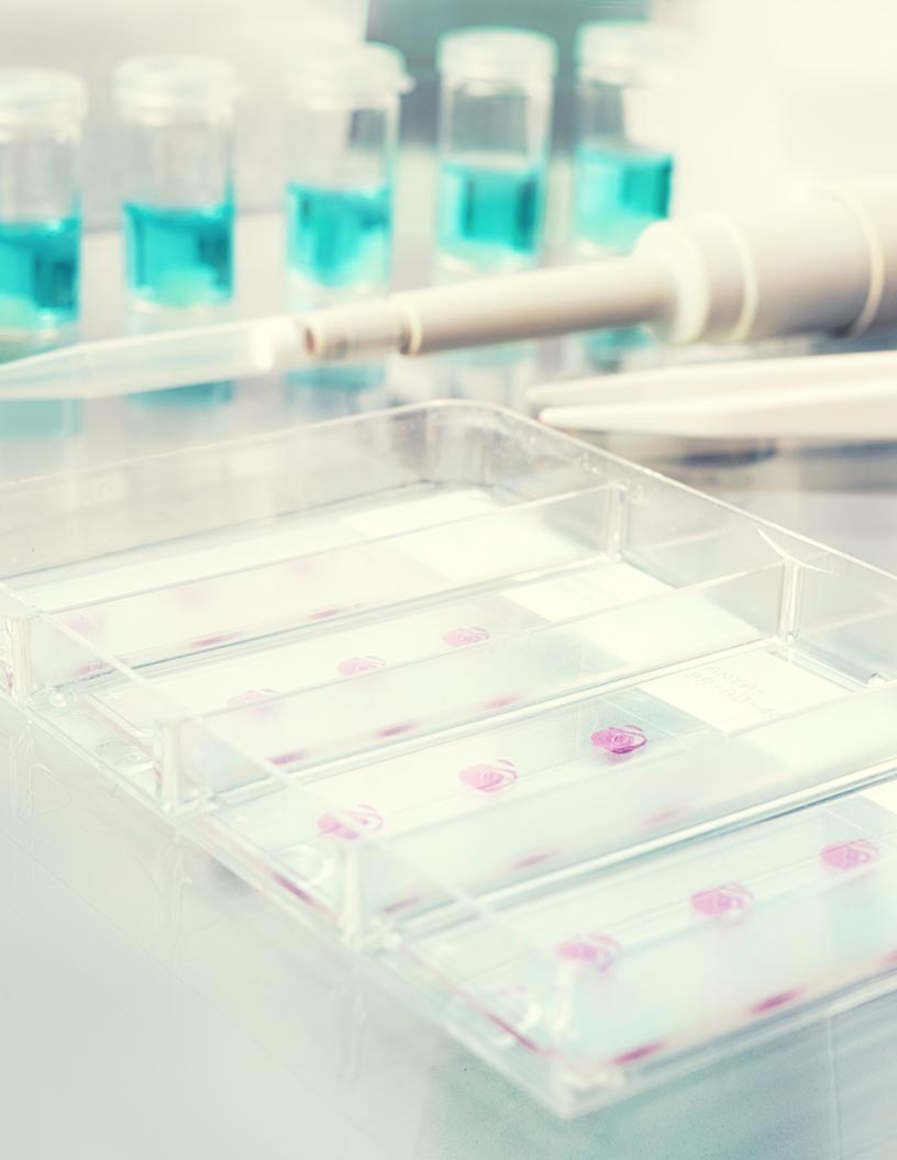 Global breast cancer liquid biopsy testing devices market 2024-2028