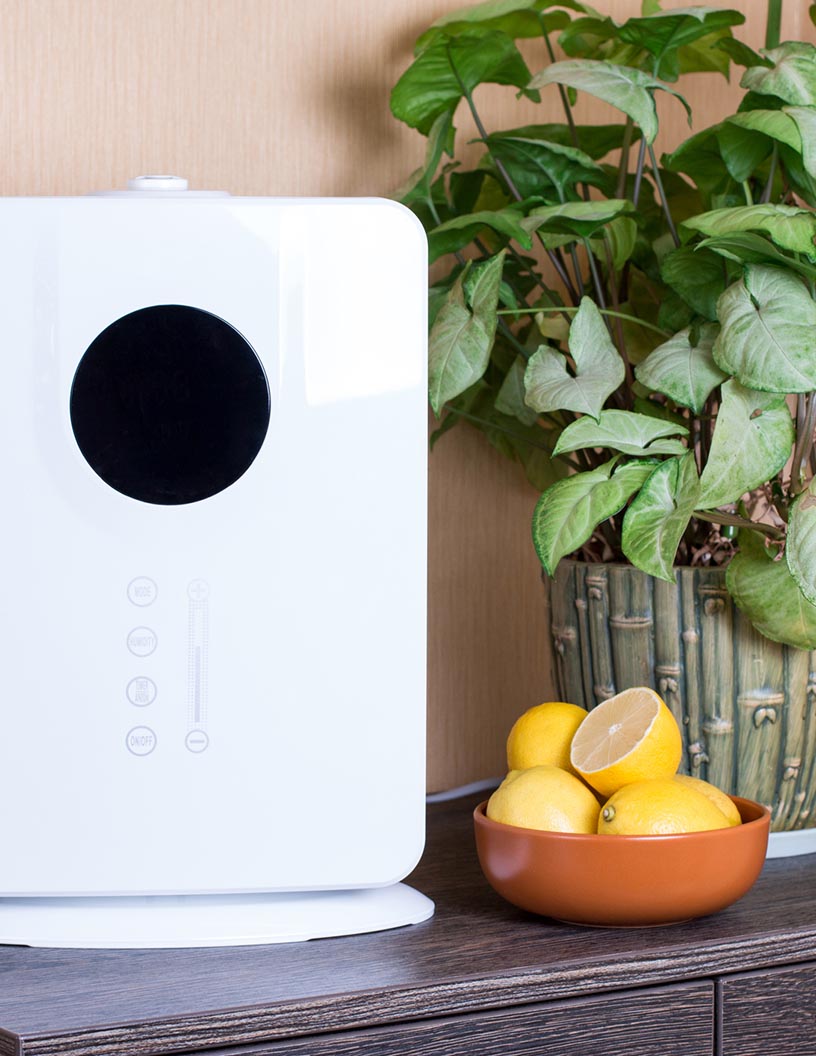 Global air ionizer market 2024-2028