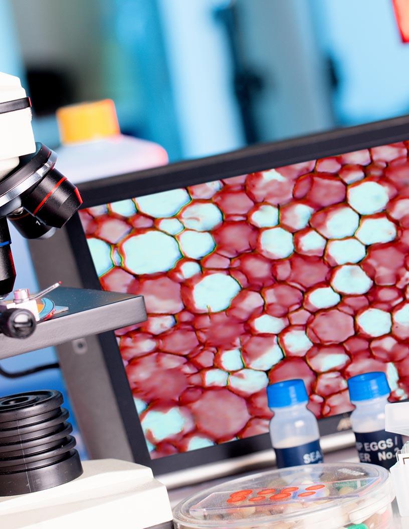 Global Cancer Registry Software Market 2025-2029