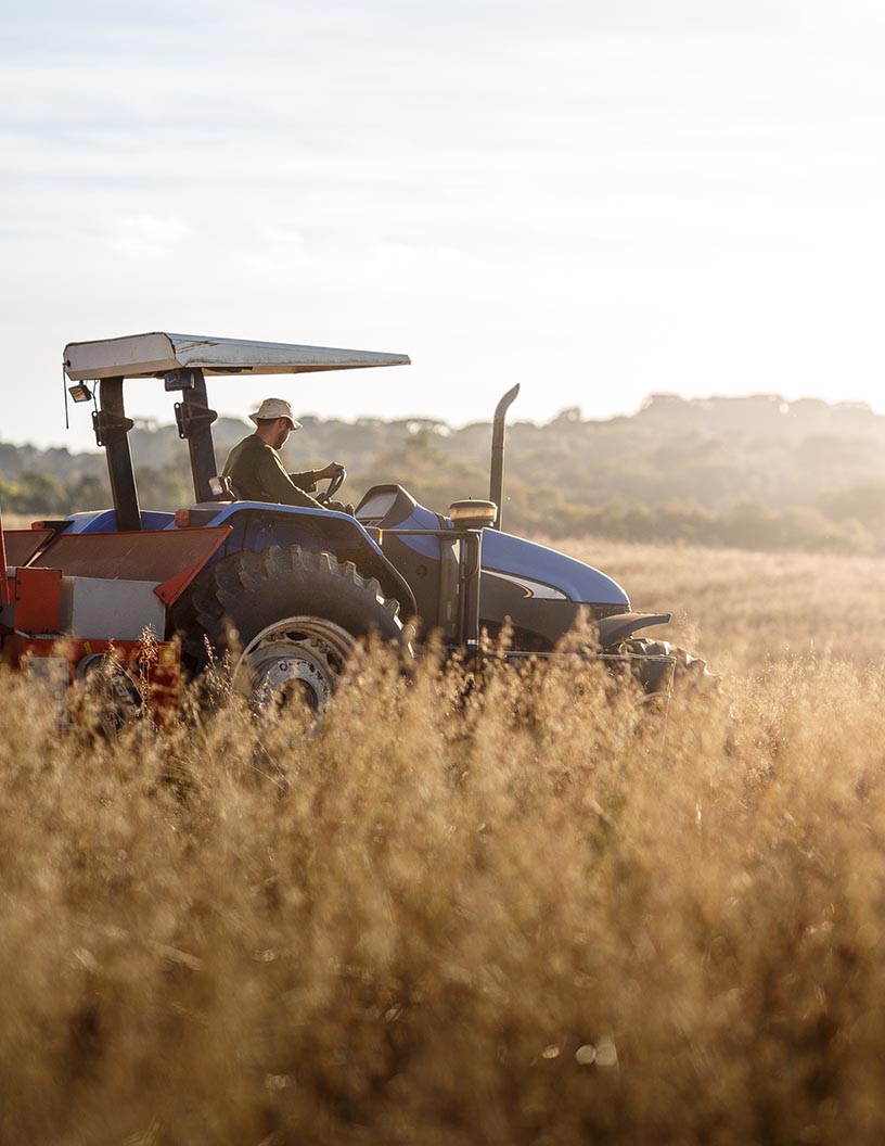 Cultivating Growth: Global Agricultural Tractor Market Driving Efficiency with a Projected Surge of 311.23 Thousand Units