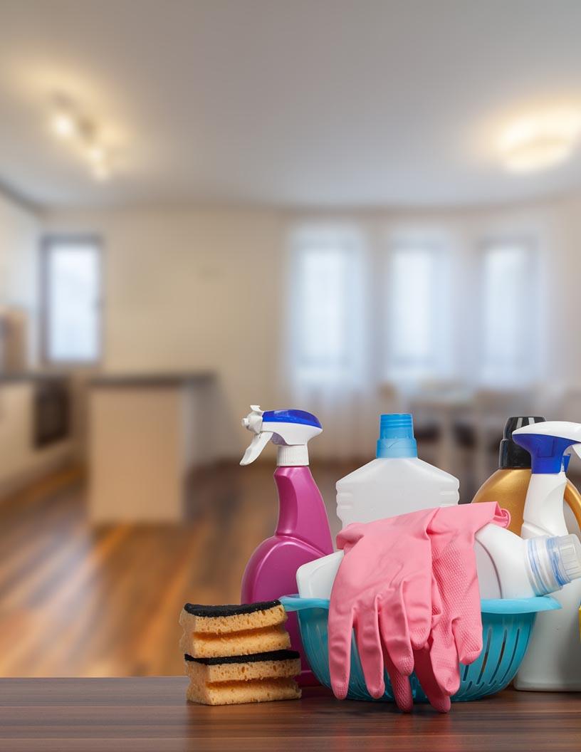 Global Household Cleaning Products Market 2025-2029