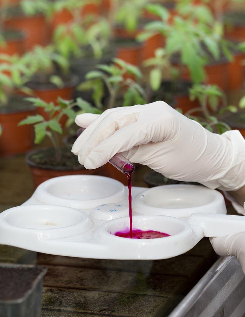 Global Agrochemicals Market 2025-2029