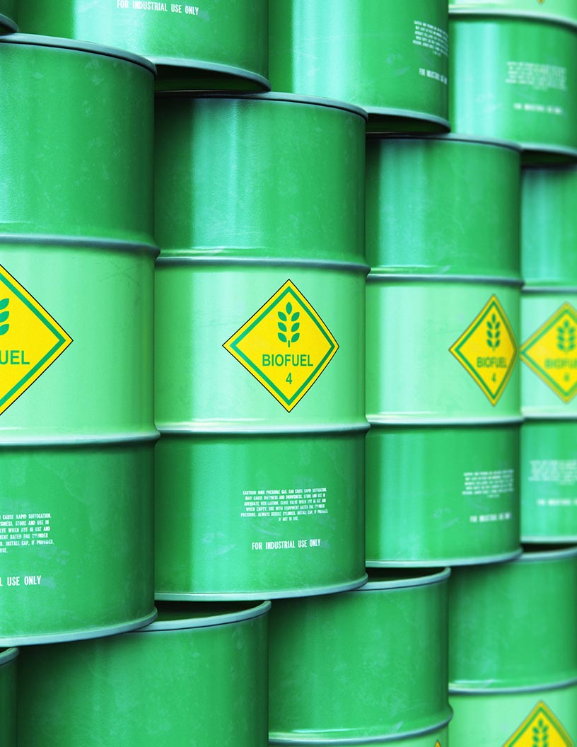 Global bioenergy market 2024-2028