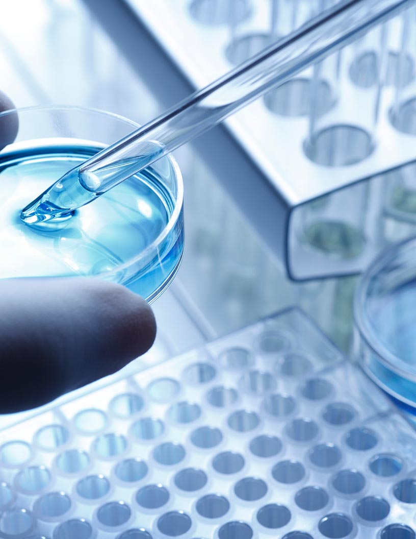 Global cell culture consumables market 2024-2028