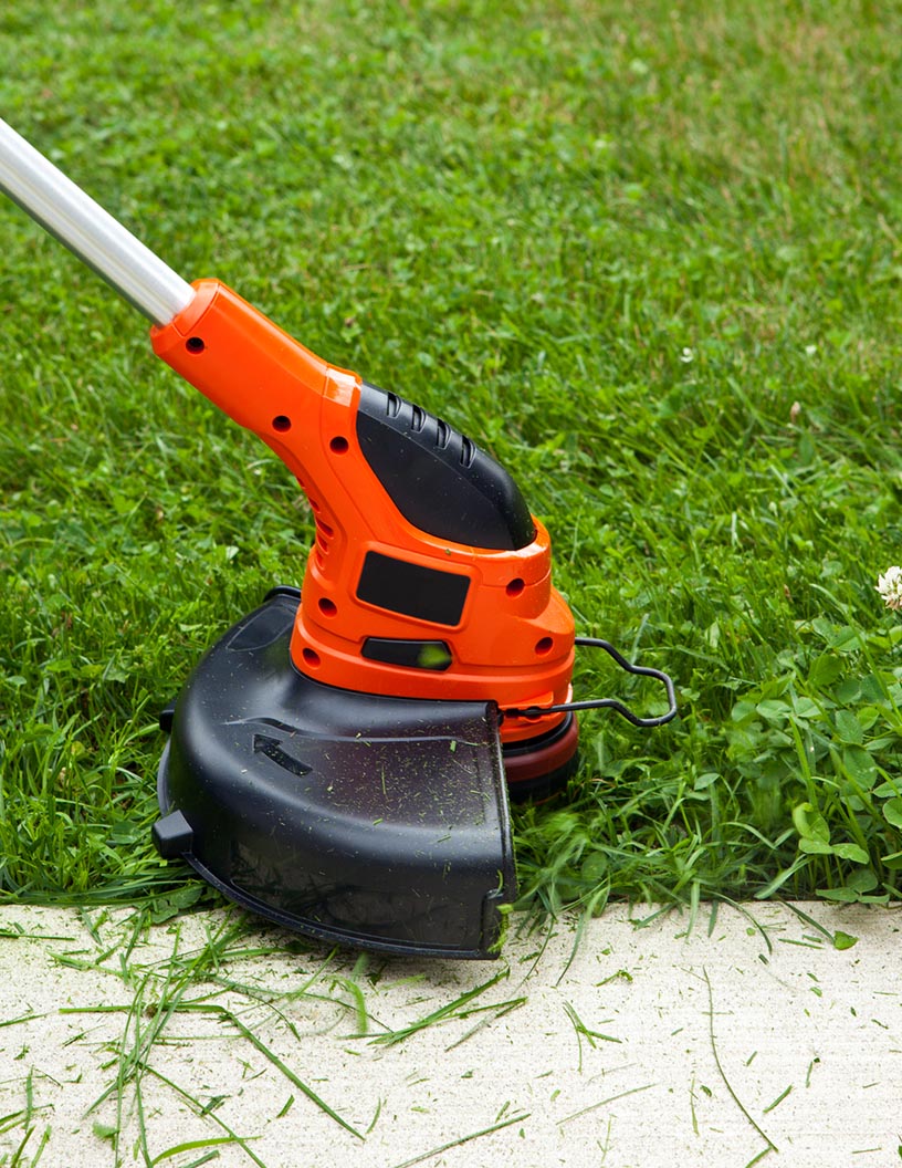 Global grass trimmer market 2024-2028