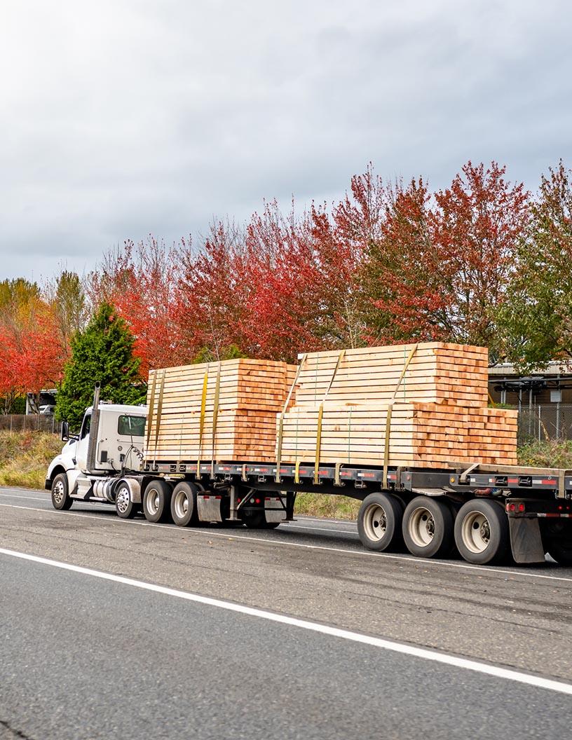 Global Timber Logistics 2025-2029