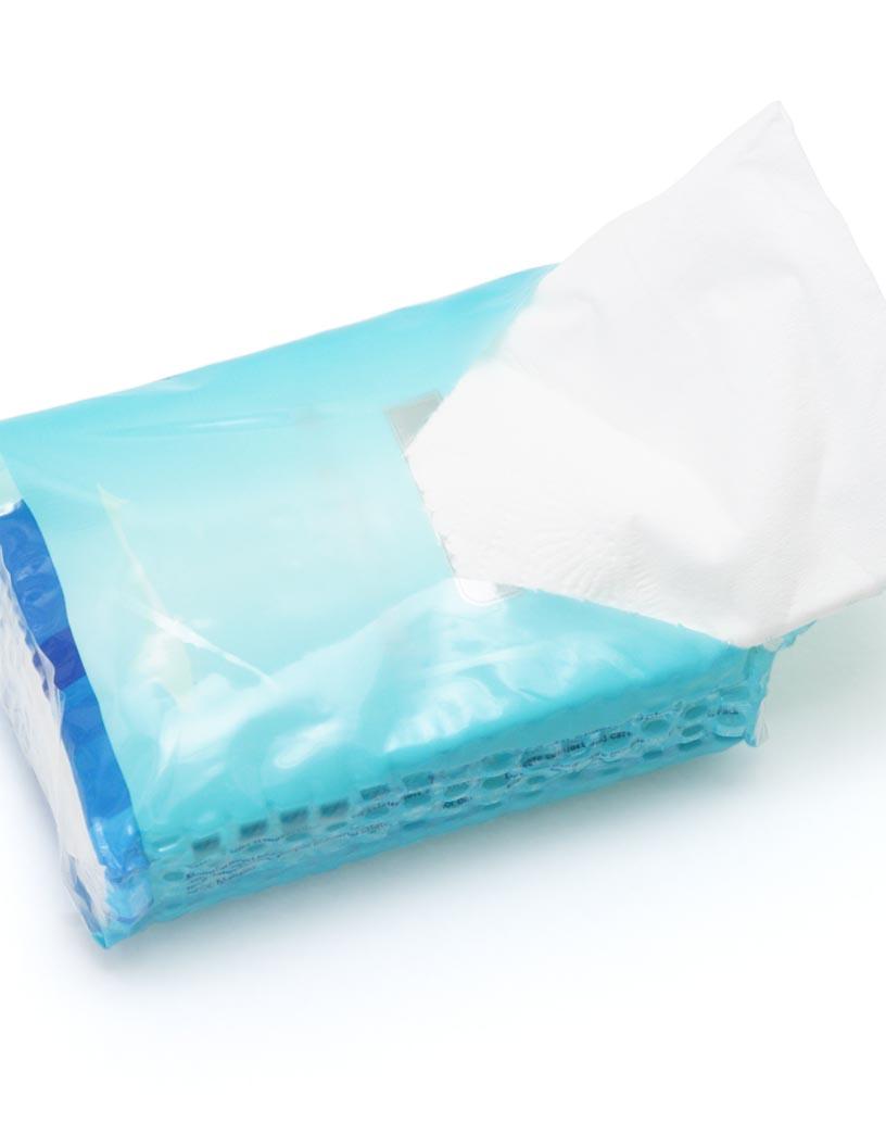 Global Tissue Paper Market 2025-2029