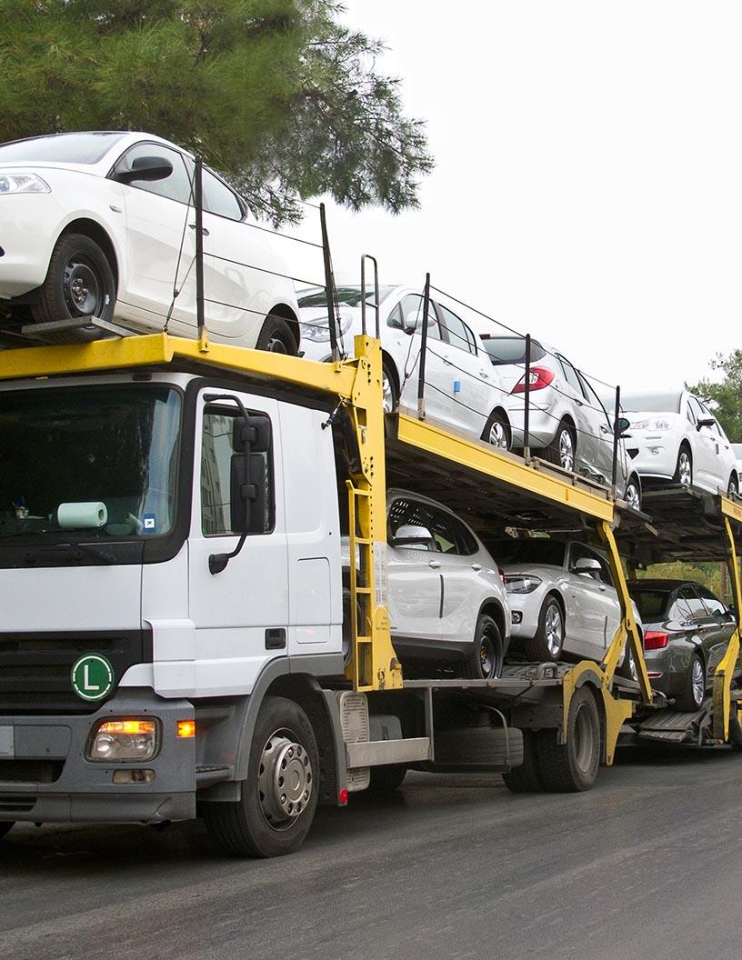 Global Finished Vehicles Logistics Market 2025-2029