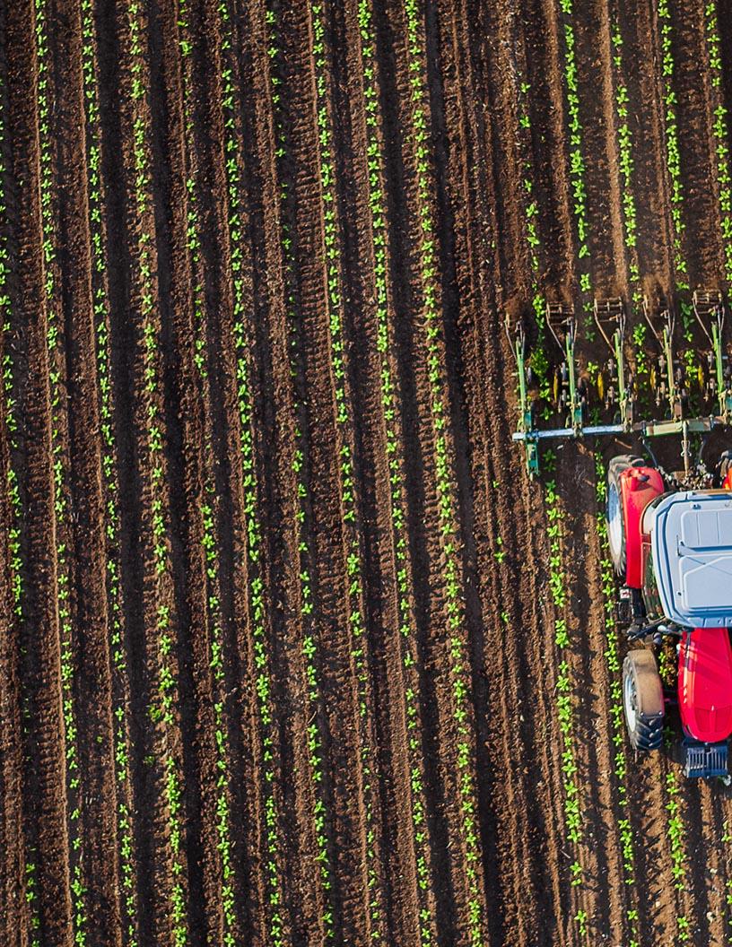 Agricultural Machinery Market in India 2025-2029