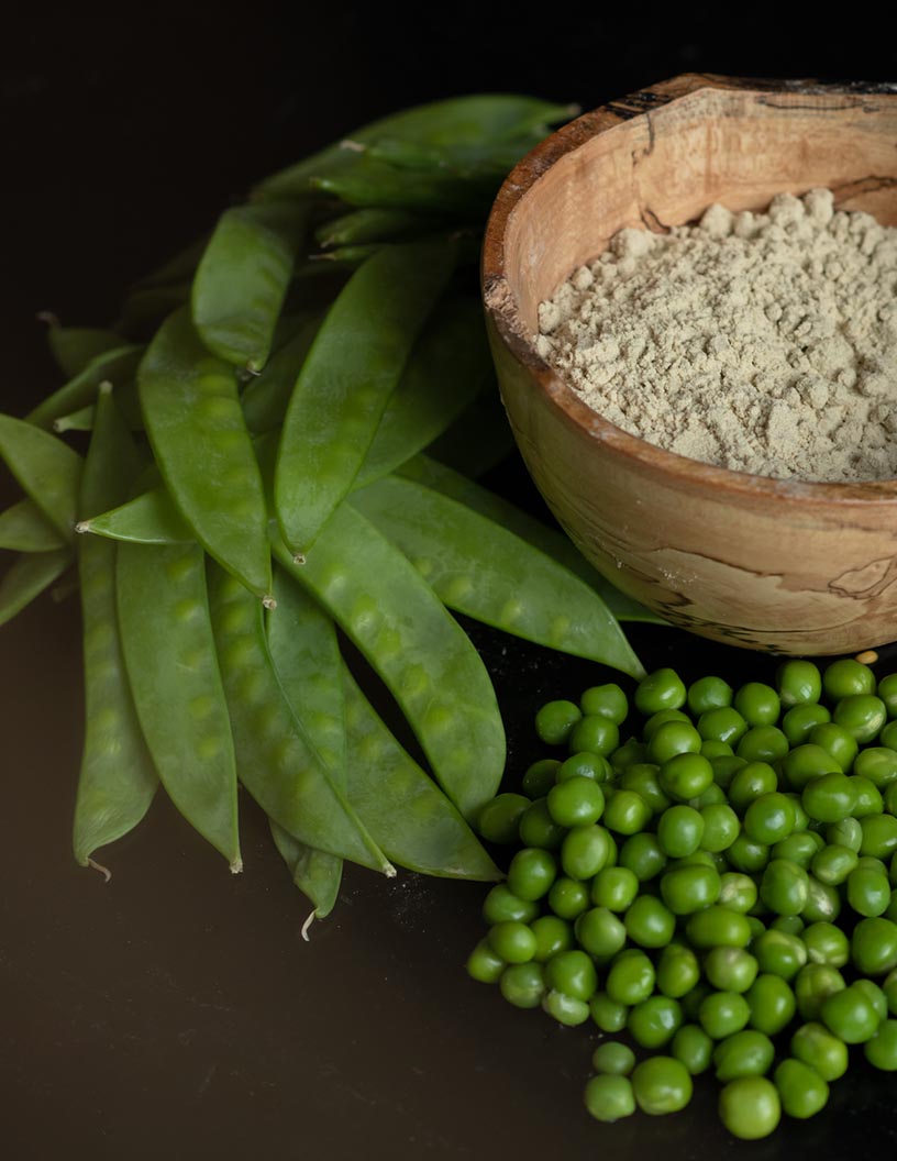 Global pea protein market 2024-2028