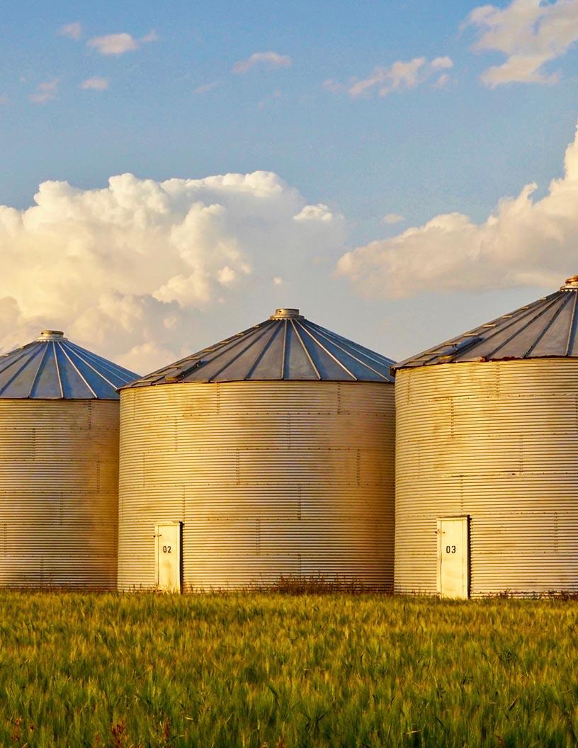 Global Grain Silos And Ancillary Equipment Market 2025-2029