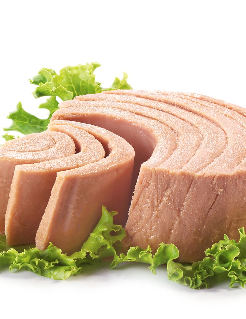 Global canned tuna market 2024-2028