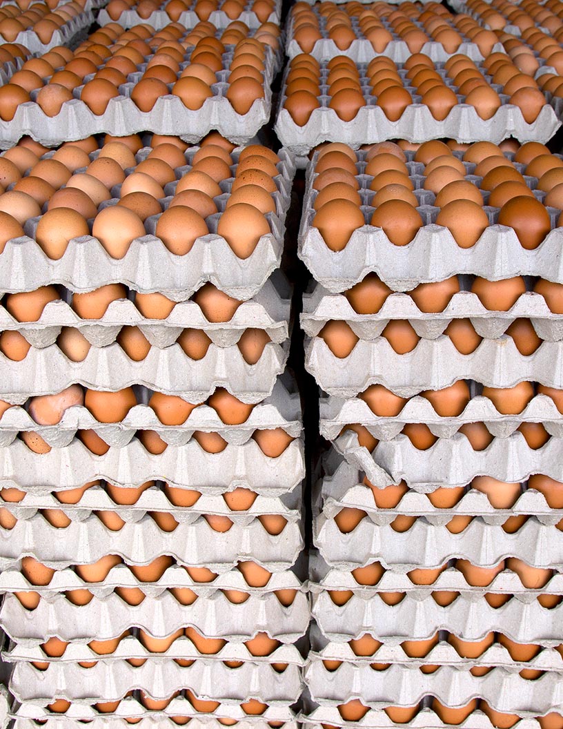 Global egg tray market 2024-2028