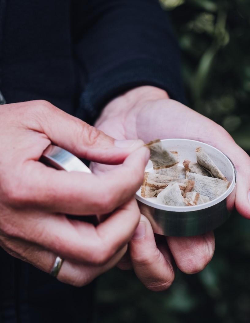 Global Snus Market 2025-2029