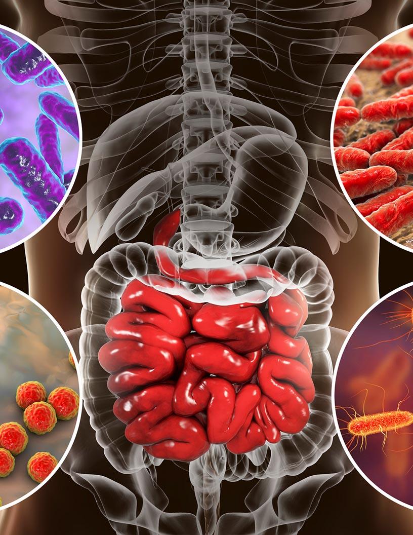 Global Gastrointestinal Diseases Therapeutics Market 2025-2029