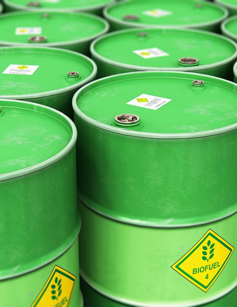 Global Biofuels Market 2025-2029