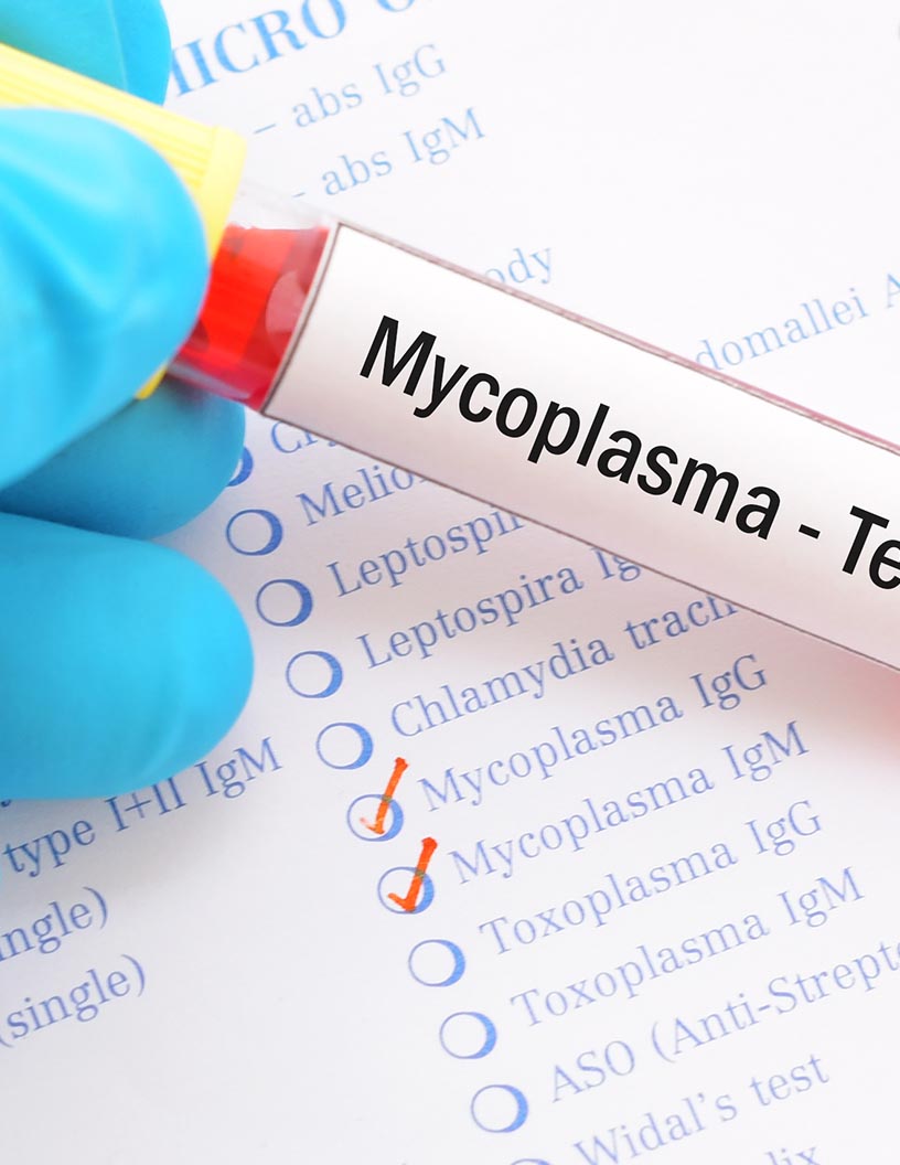 Global mycoplasma testing market 2024-2028