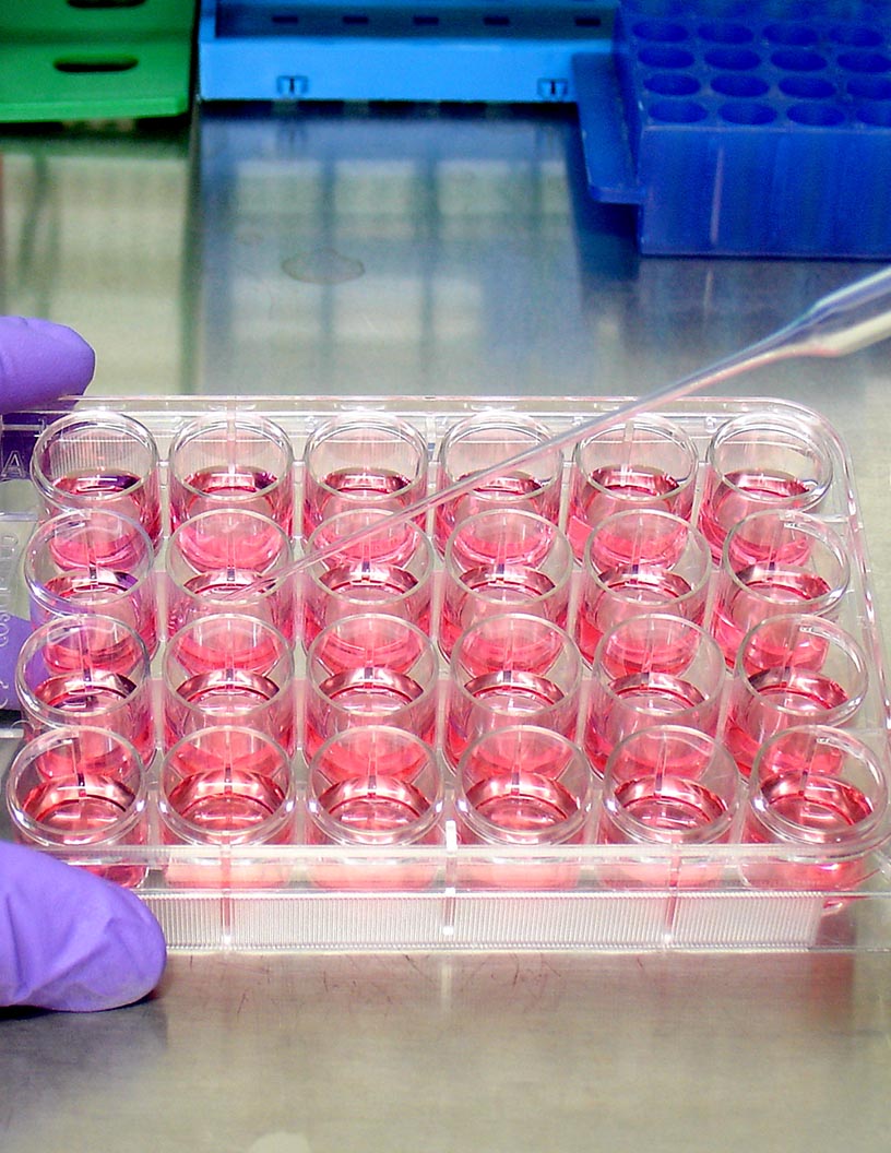 Global cell culture market 2024-2028