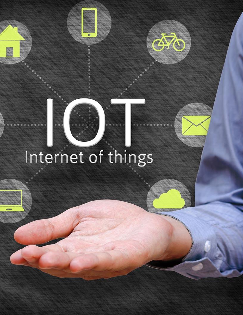 Global Internet Of Things (IoT) Security Market 2025-2029