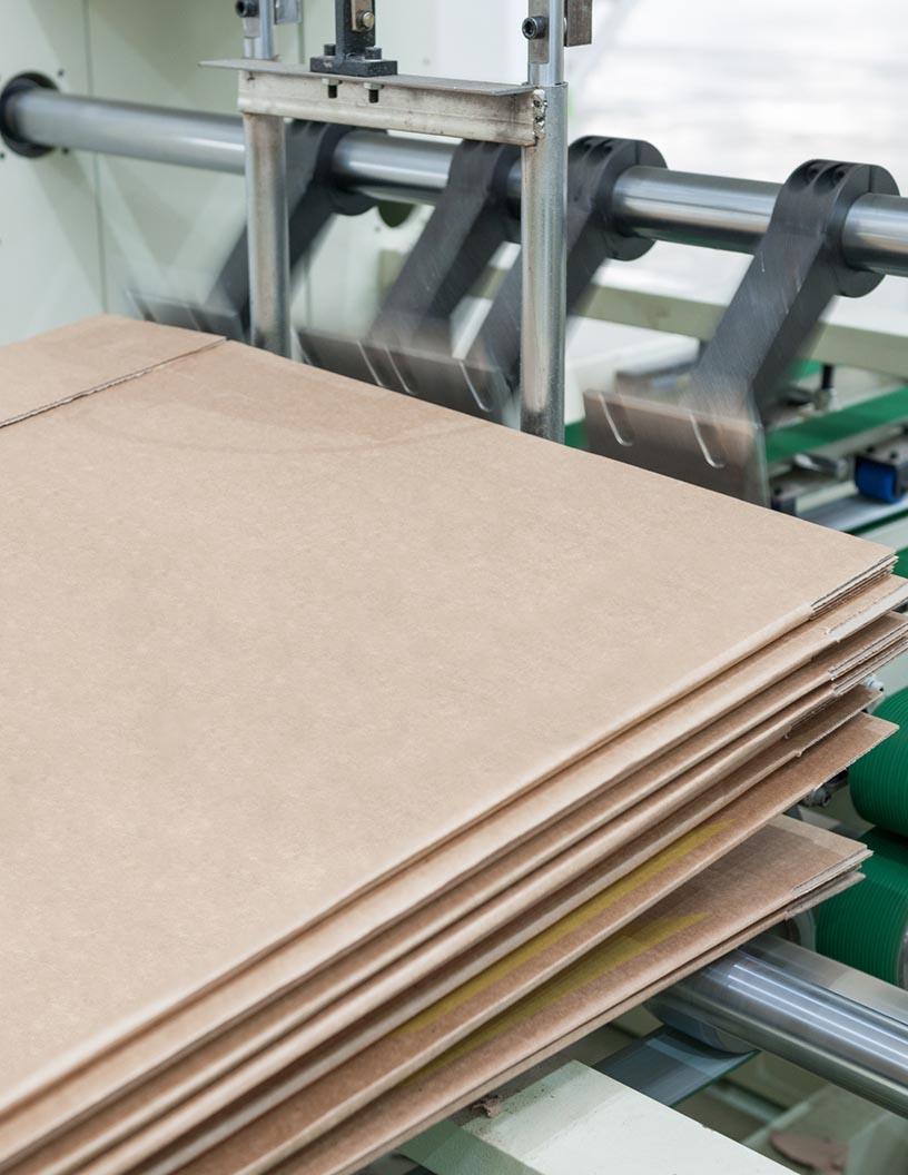 Folding Carton Market in North America 2025-2029