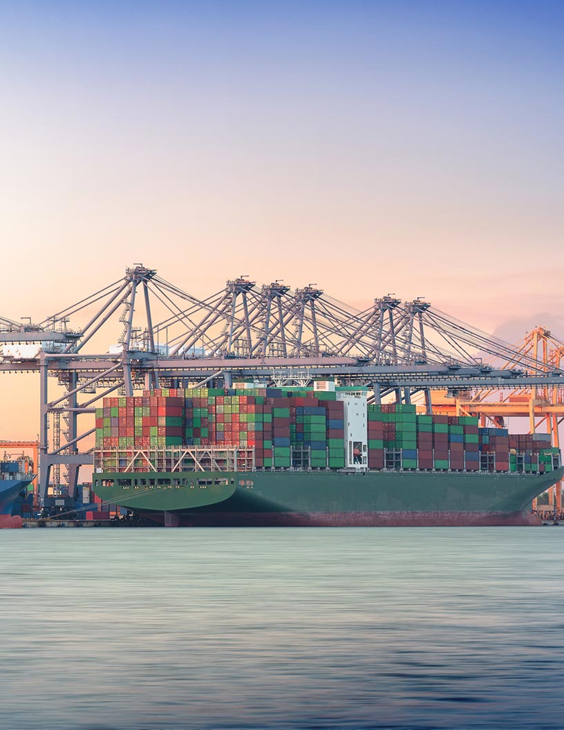 Global harbor management software market 2024-2028