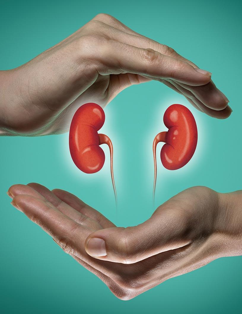 Global Renal Dialysis Market 2025-2029