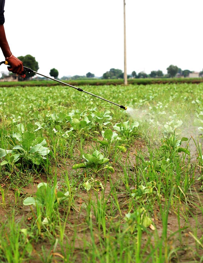 Global Agricultural Pesticides Market 2025-2029