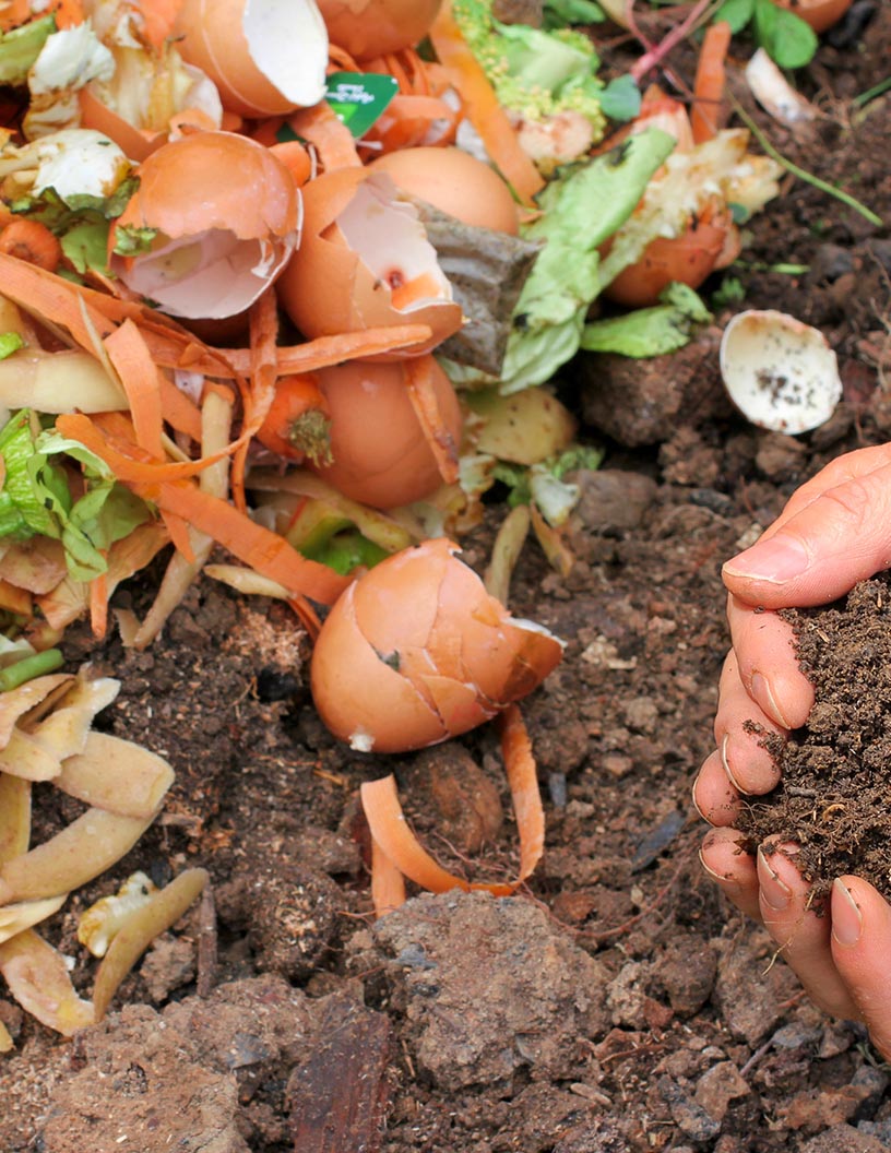 Global Agricultural Biologicals Market 2025-2029