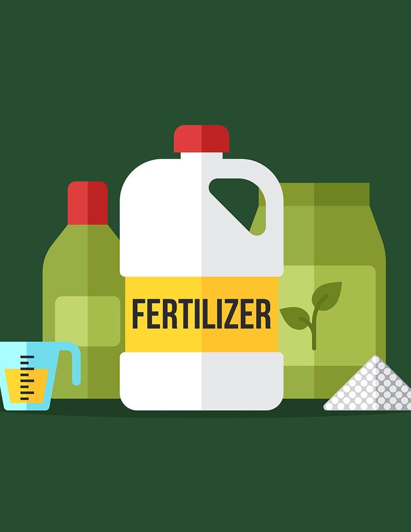 Global Amino Acid Fertilizer Market 2025-2029