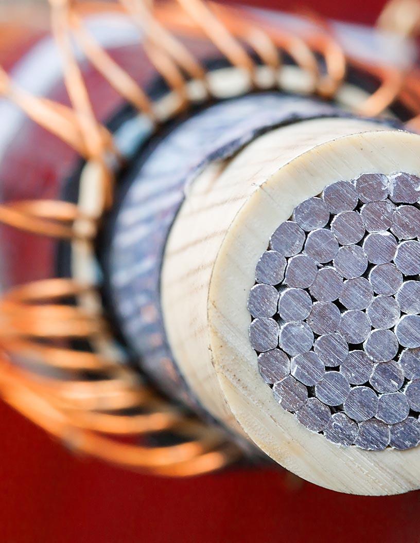 Global Aluminum Conductors Market 2025-2029