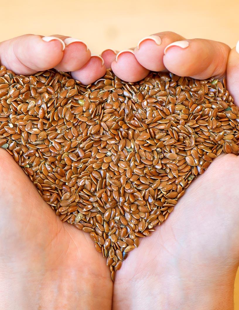 Global Flax Seeds Market 2025-2029