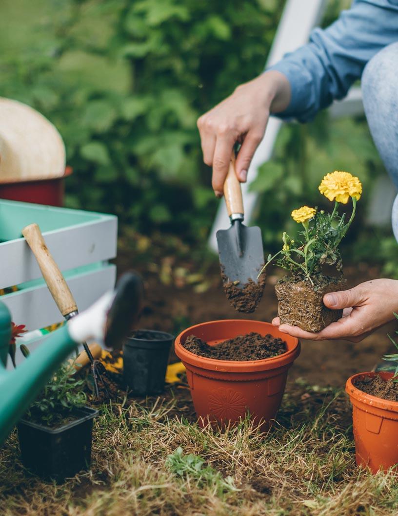 Global Garden And Lawn Tools Market 2025-2029