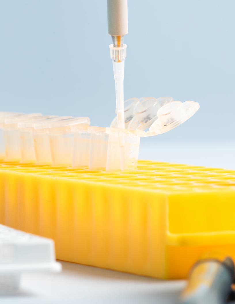 Global gel documentation systems market 2024-2028