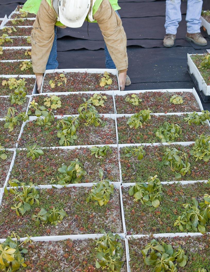 Global Green-Roofs Market 2025-2029