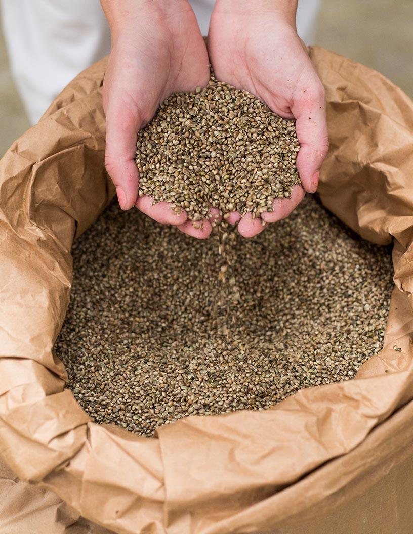 Global Industrial Hemp Market 2025-2029