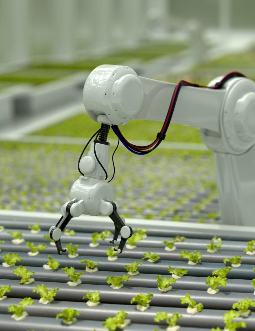 Global Crop Harvesting Robots Market 2025-2029