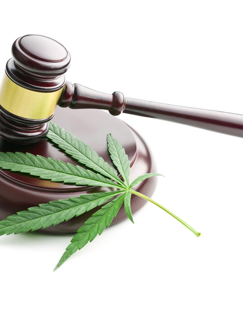 Global Legal Cannabis Market 2025-2029