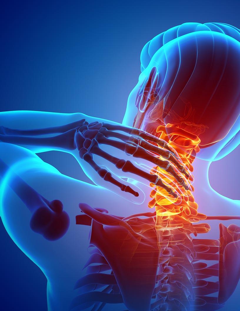 Global Physiotherapy Market 2025-2029