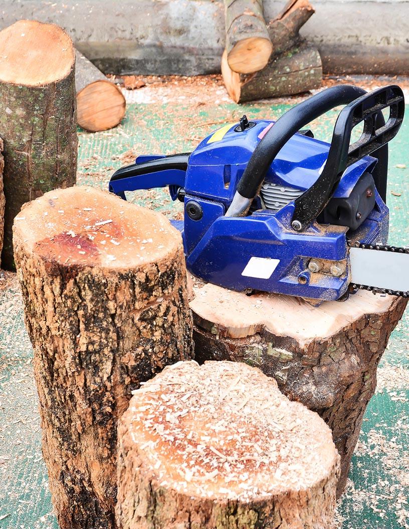 Global Chainsaw Market 2025-2029