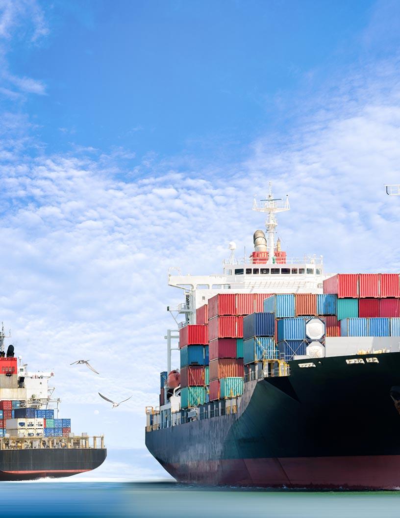 Global Offshore Supply Vessel Market 2025-2029