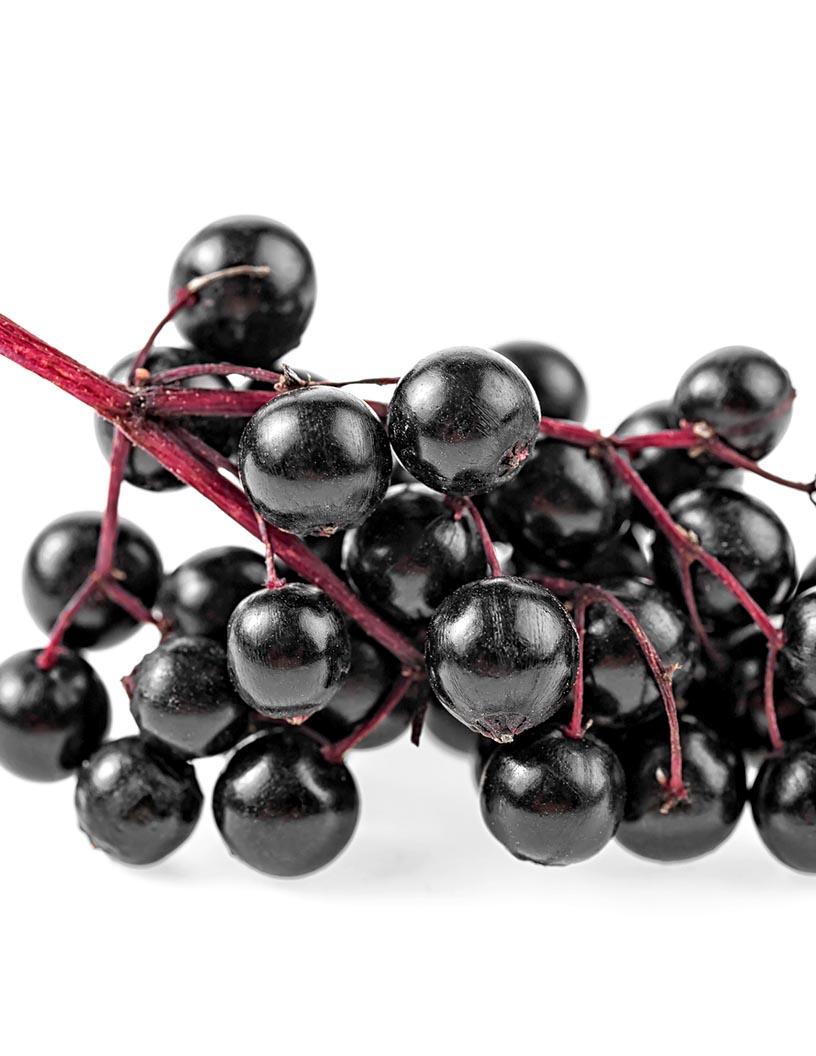 Global Elderberry Market 2025-2029